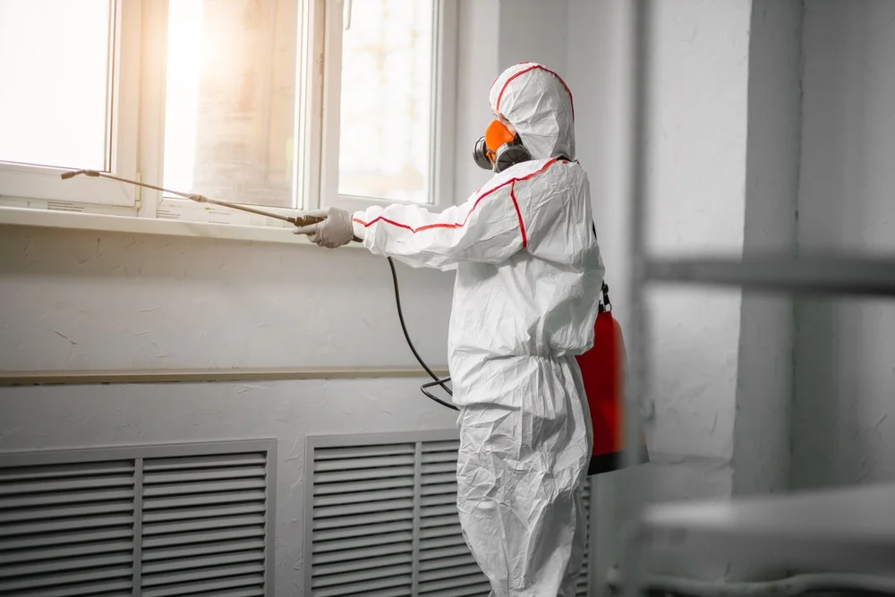 Professional mold remediation services in Pigeon Forge, TN